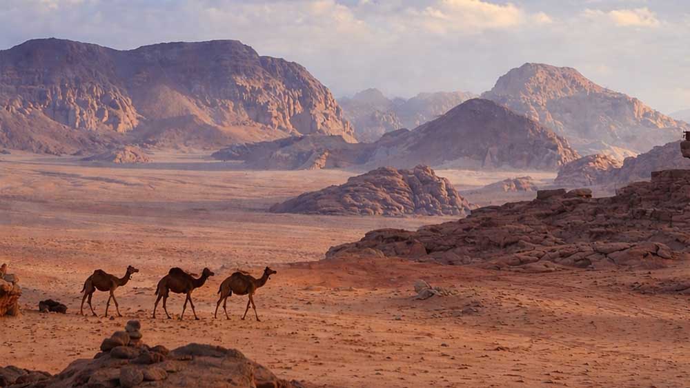Shahrazad Desert Camp landscape